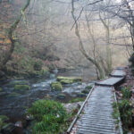 Bolton Abbey and Strid Woods: History & Tranquil Beauty